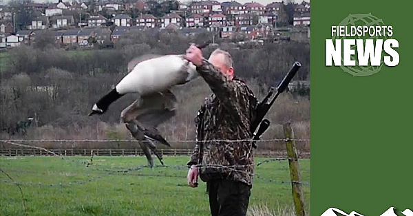 Uk Gun Licence Medical-check Scandal