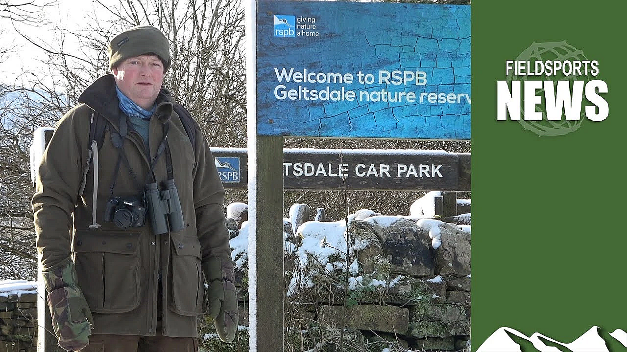 How The Rspb Manages Its Grousemoor