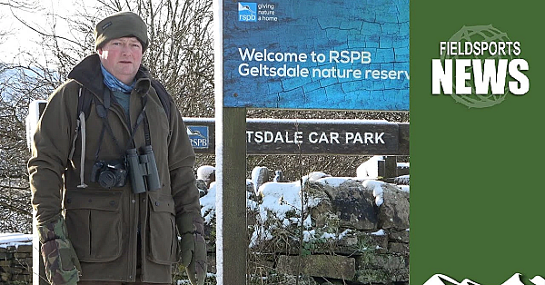 How The Rspb Manages Its Grousemoor