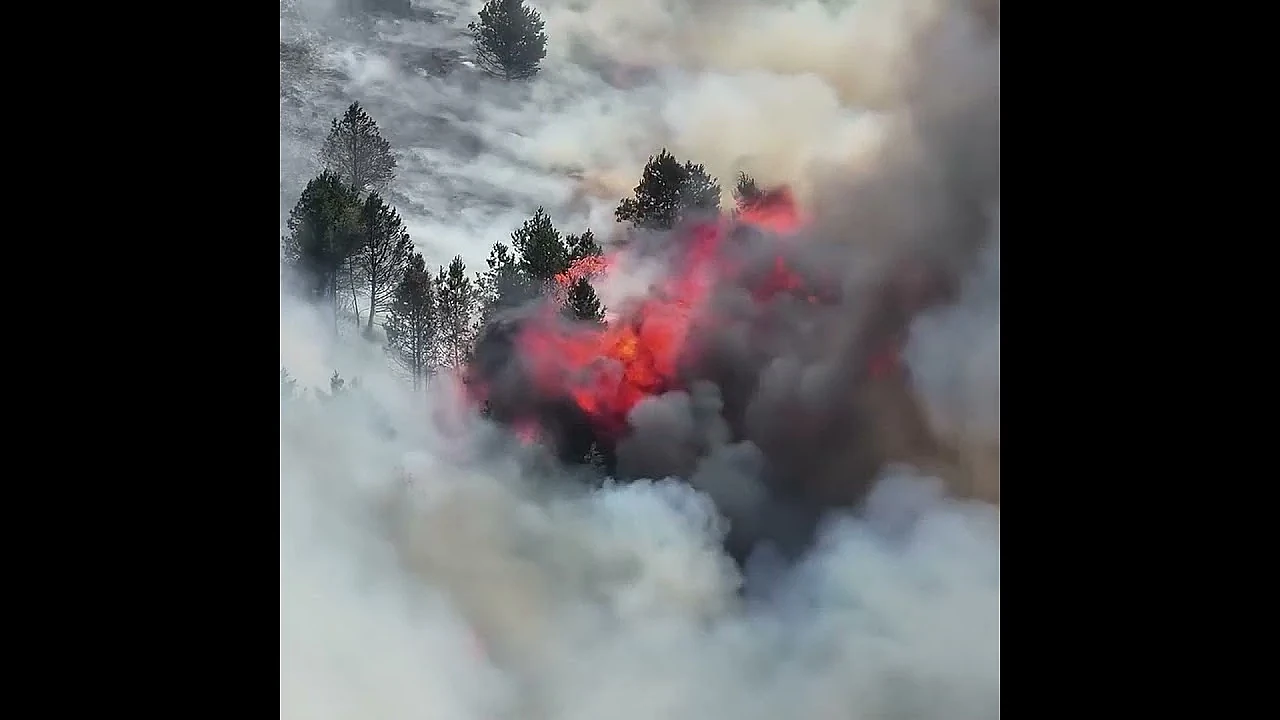 Gamekeepers thanked for wildfire work — but left out?