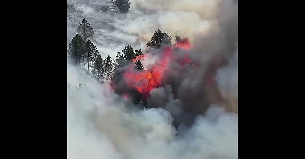 Gamekeepers thanked for wildfire work — but left out?