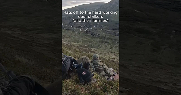 This Is Data-led Deer Management In The Highlands