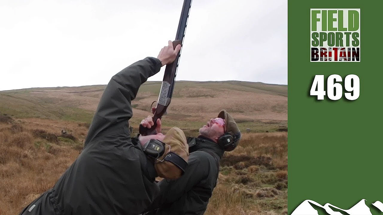 Fieldsports Britain - Monster Screaming Pheasants