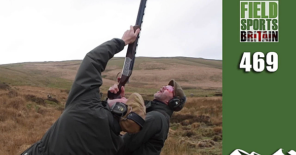 Fieldsports Britain - Monster Screaming Pheasants