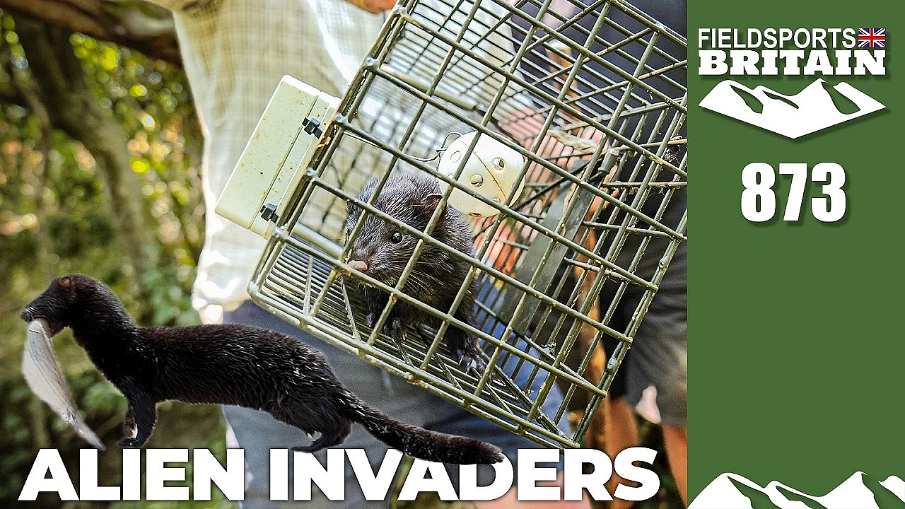 Fieldsports Britain – Natural born killers