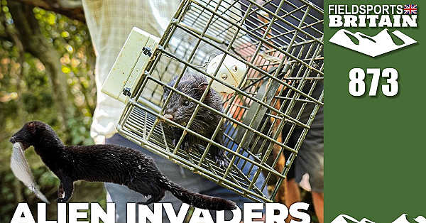 Fieldsports Britain – Natural born killers