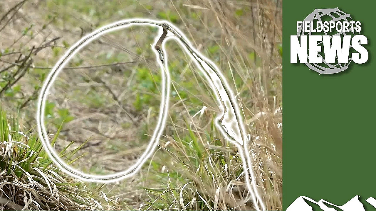 The Future For Snaring In Scotland