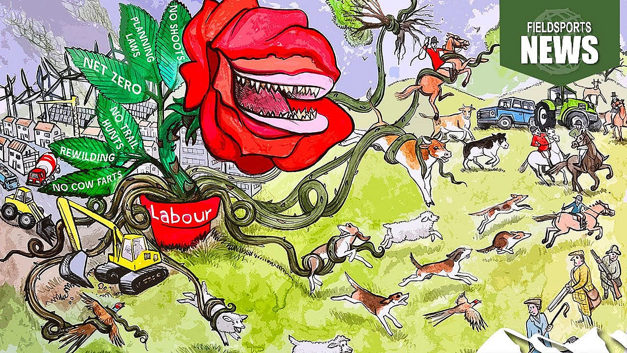 Hunting And Shooting In The Uk 2024 Election Manifestos