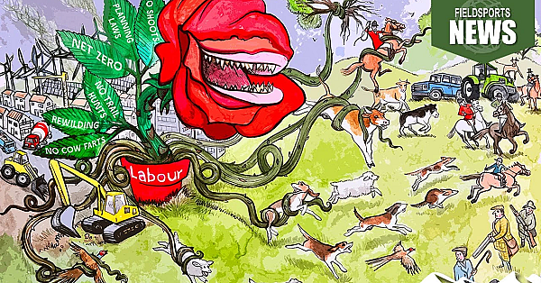 Hunting And Shooting In The Uk 2024 Election Manifestos