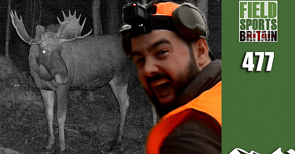 Fieldsports Britain - Cai's Mahoosive Moose Hunt