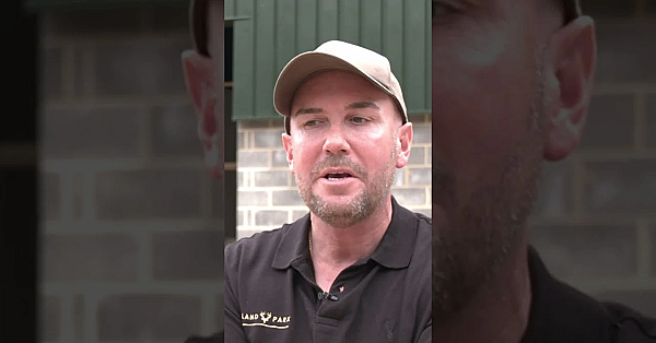 #gamemeat Goes Mass Market