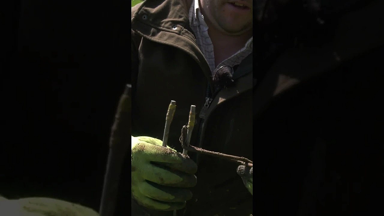 Mike Catching: Everything You Were Afraid To Ask #fieldsportsbritain