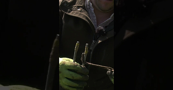 Mike Catching: Everything You Were Afraid To Ask #fieldsportsbritain