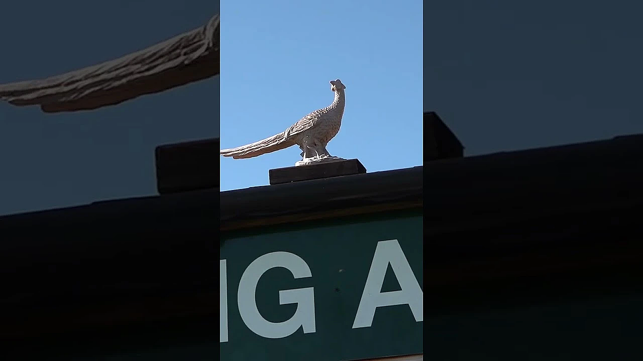 Father V. Son At Long Acre Charity Clay Shoot  #fieldsportsbritain