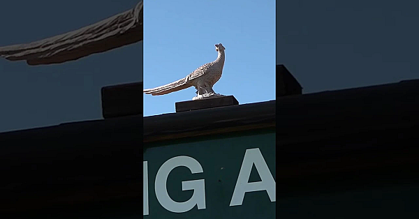 Father V. Son At Long Acre Charity Clay Shoot  #fieldsportsbritain