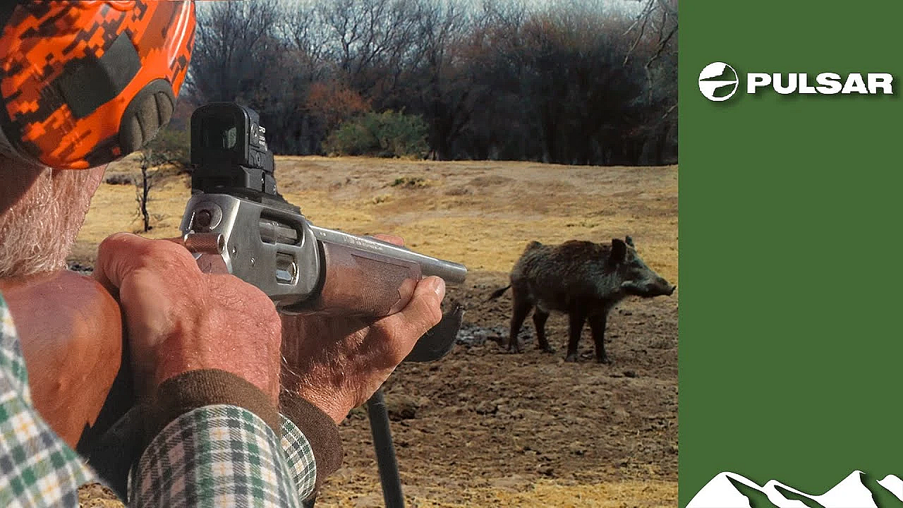 Tim Hunts Big Boar In Argentina