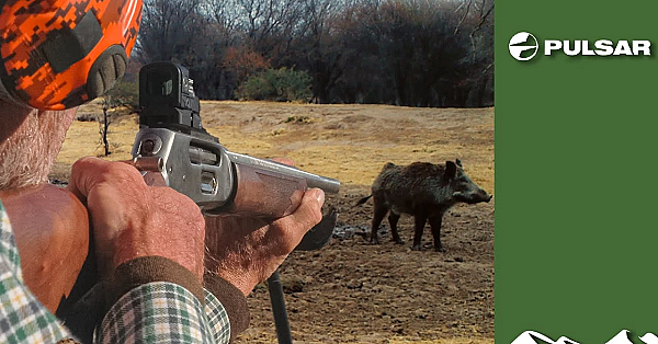 Tim Hunts Big Boar In Argentina