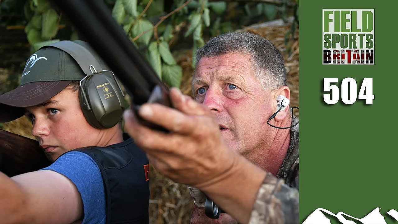 Fieldsports Britain - Crow's New Young Pigeon Shot