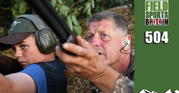 Fieldsports Britain - Crow's New Young Pigeon Shot