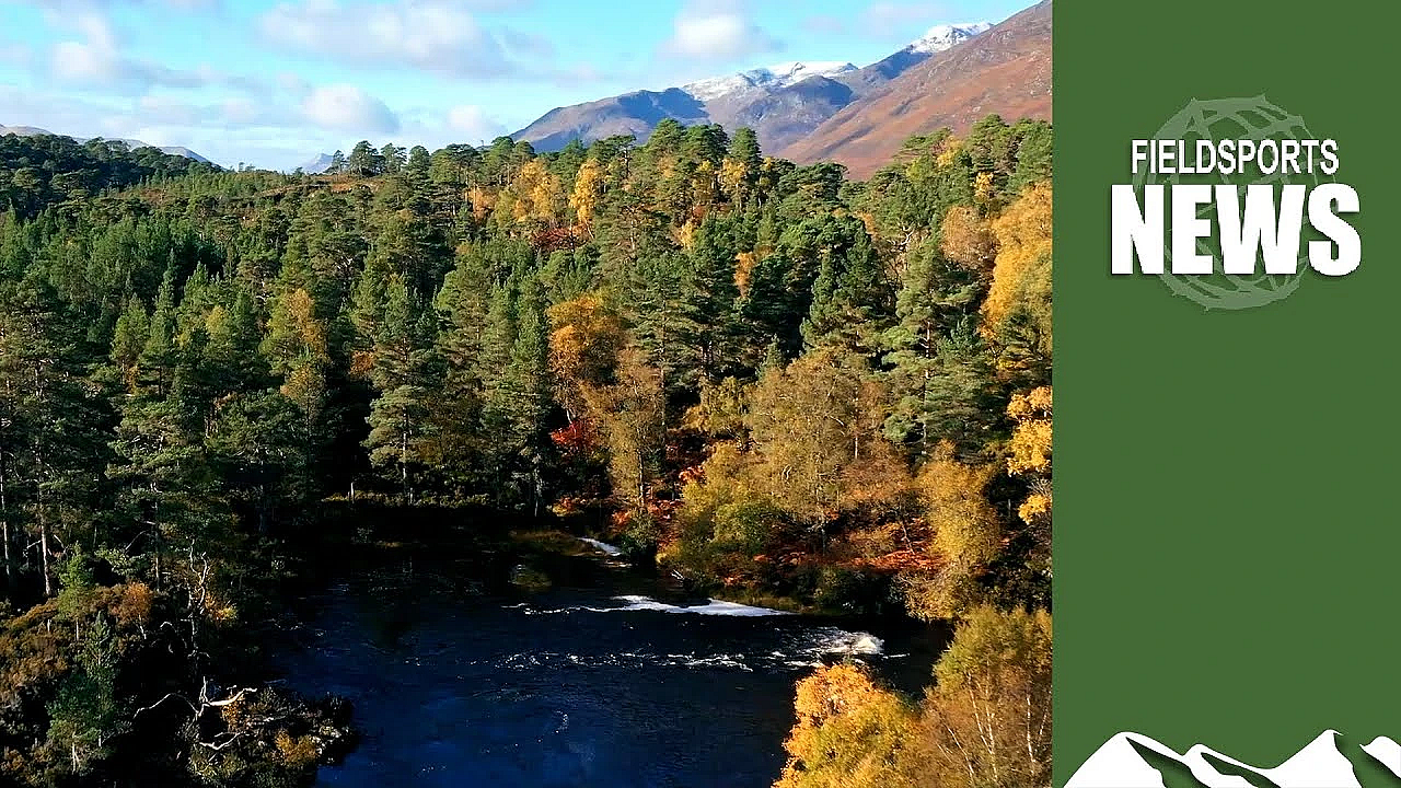 Rewilding Wales Threatens Nature, Fieldsports And Farming