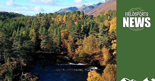 Rewilding Wales Threatens Nature, Fieldsports And Farming