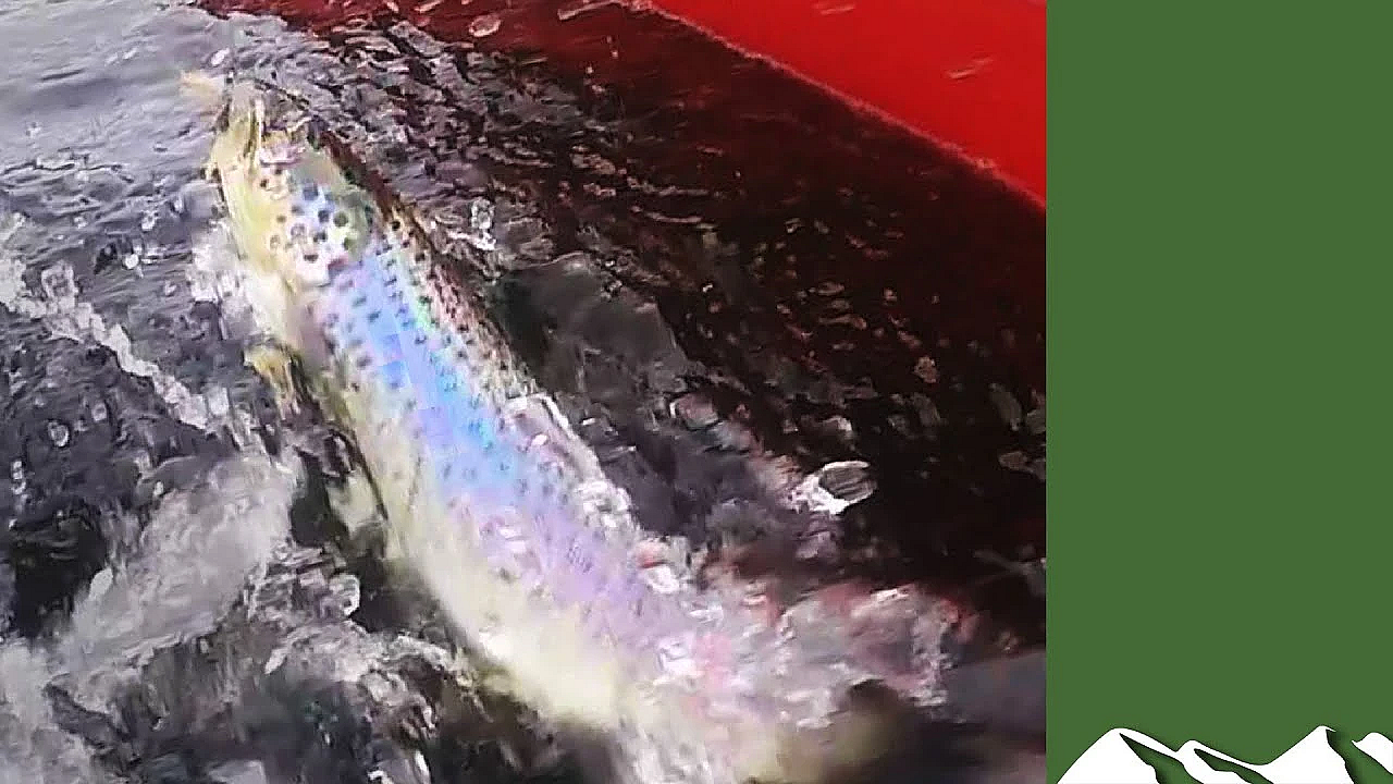 'flyakara' - Kayak Tenkara On An English Tarn