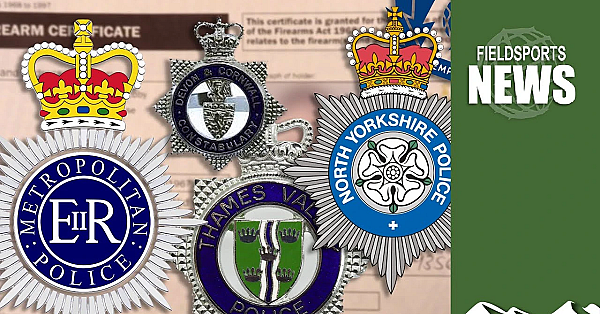 Plymouth Shootings: What Was The Police Gun Licensing Backlash?