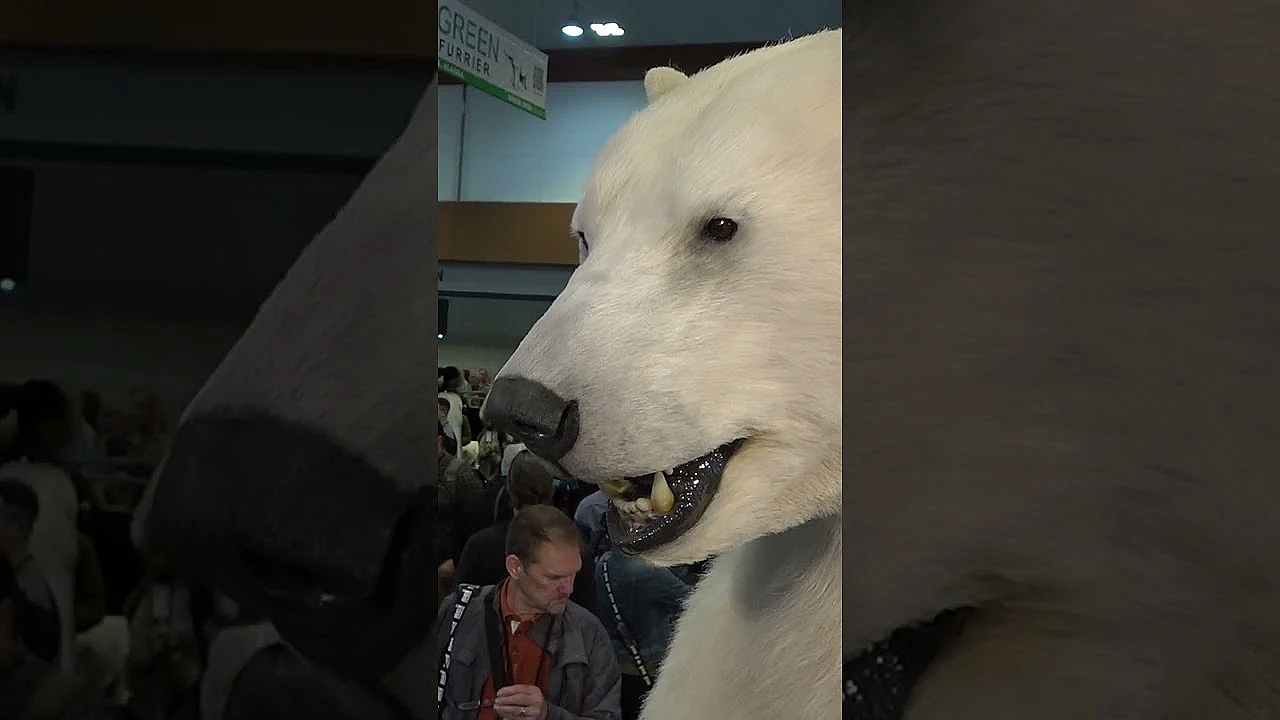 Roy Lupton And David Are Limping After Muntjac Through The Brambles, Titanium Hips And Dodgy Ankles