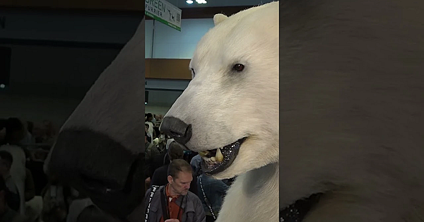 Roy Lupton And David Are Limping After Muntjac Through The Brambles, Titanium Hips And Dodgy Ankles