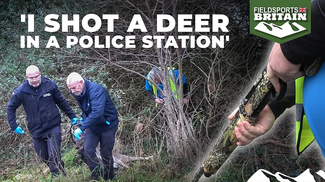 'i Shot A Deer In A Police Station'