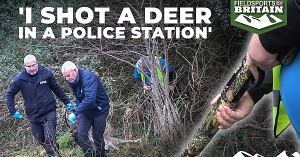 'i Shot A Deer In A Police Station'