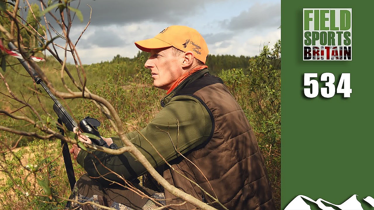 Fieldsports Britain - Paul's Pesky Portuguese Pigs