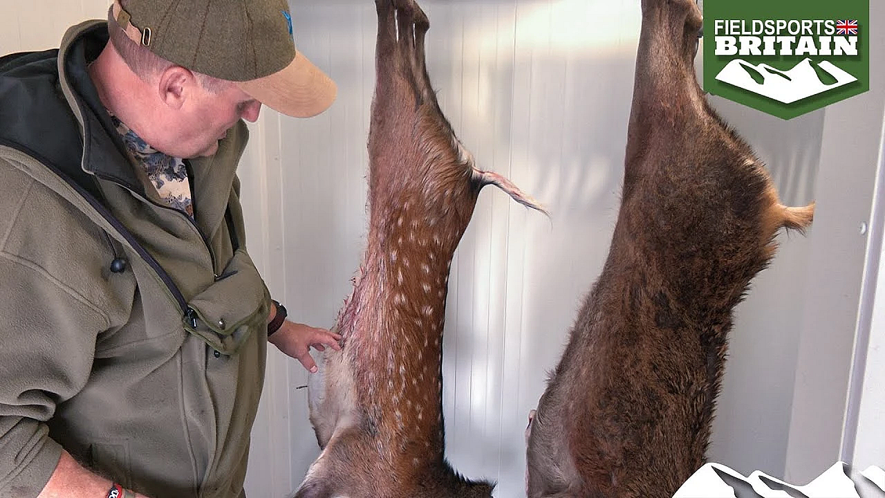 A Year In The Life Of Sika, Part 2 - Spot The Difference