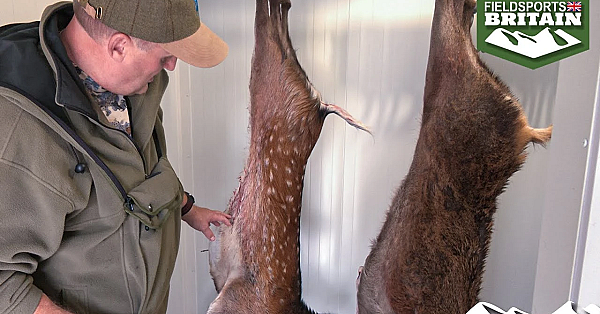 A Year In The Life Of Sika, Part 2 - Spot The Difference