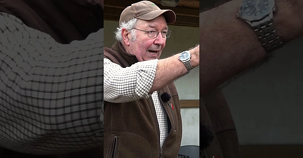 #airgun Academy: The Secrets Of Taking A Quick And Accurate Shot From A Standing Position #hunting