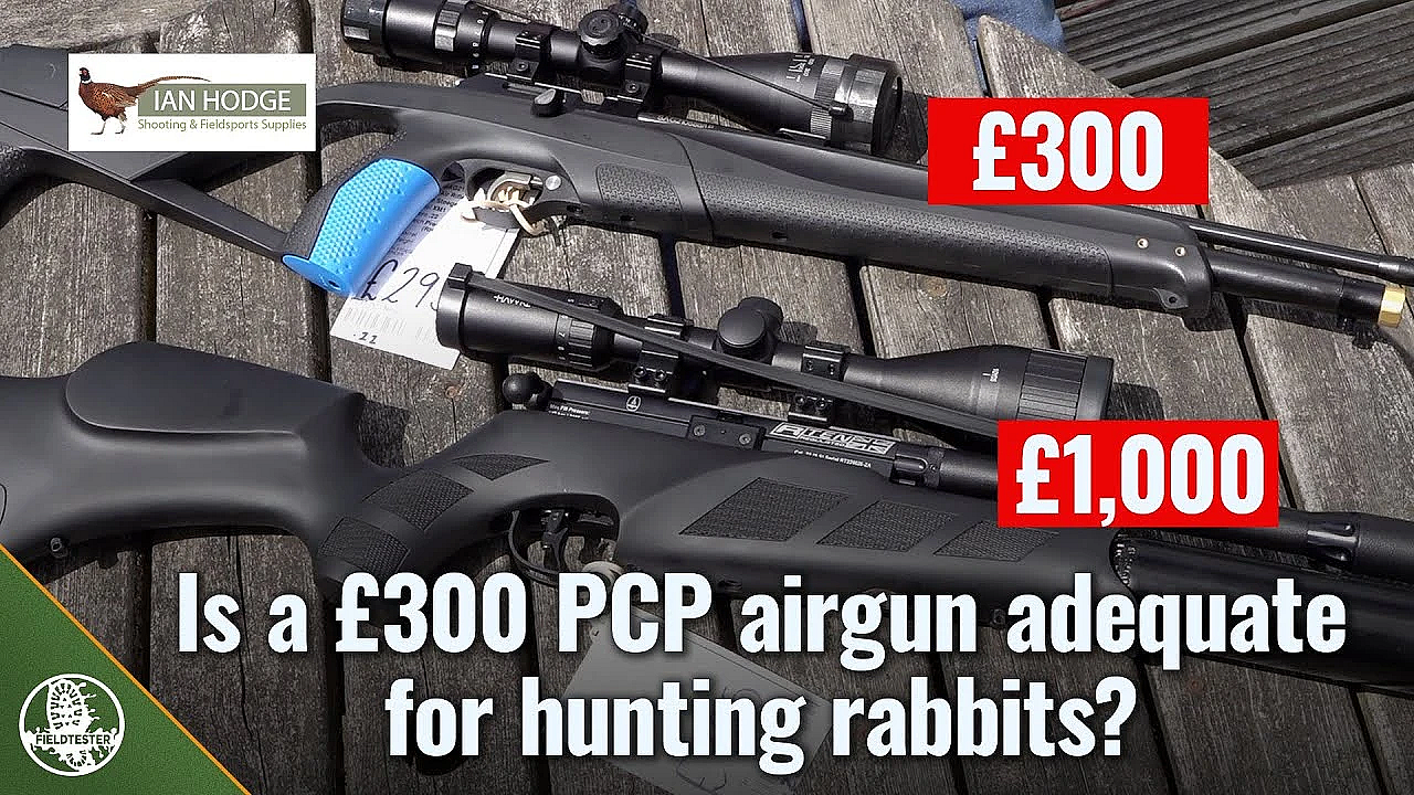Is A £300 Pcp Airgun Good Enough For Hunting Rabbits?