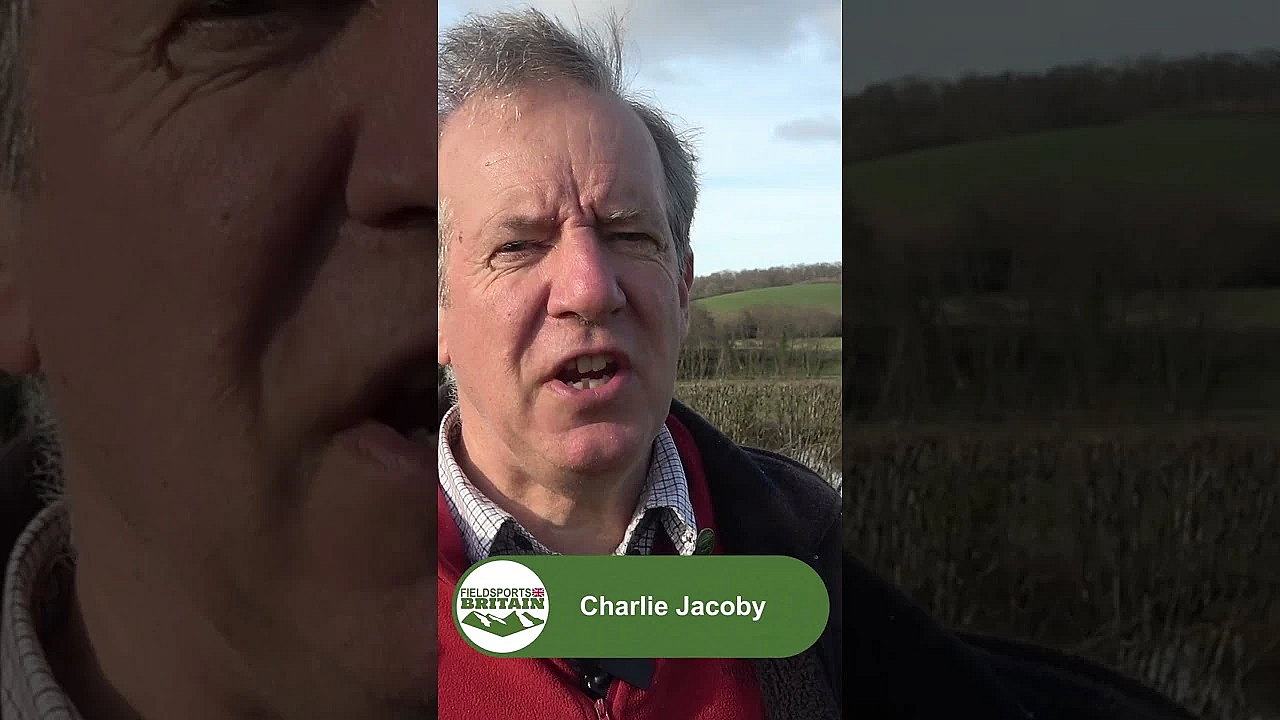 It’s Our 800th Episode,