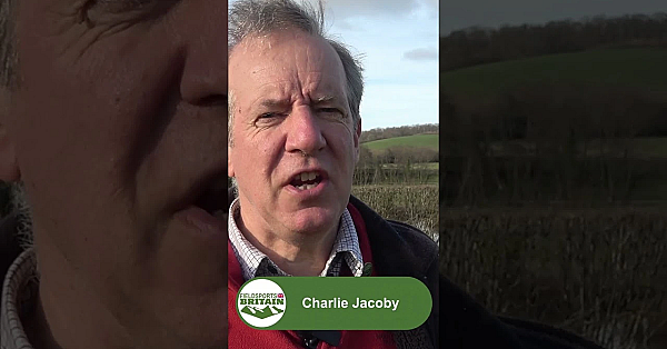 It’s Our 800th Episode,