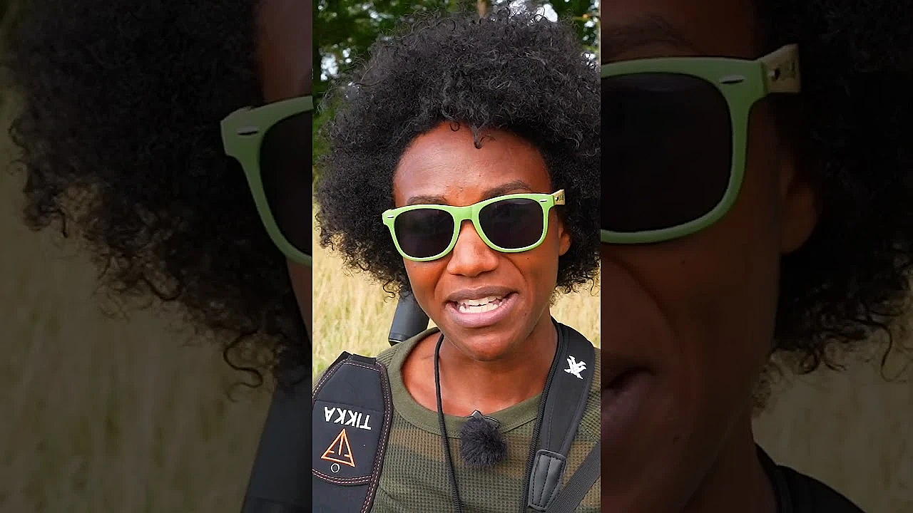 British Open Sporting Championship  #fieldsportsbritain