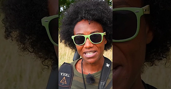 British Open Sporting Championship  #fieldsportsbritain