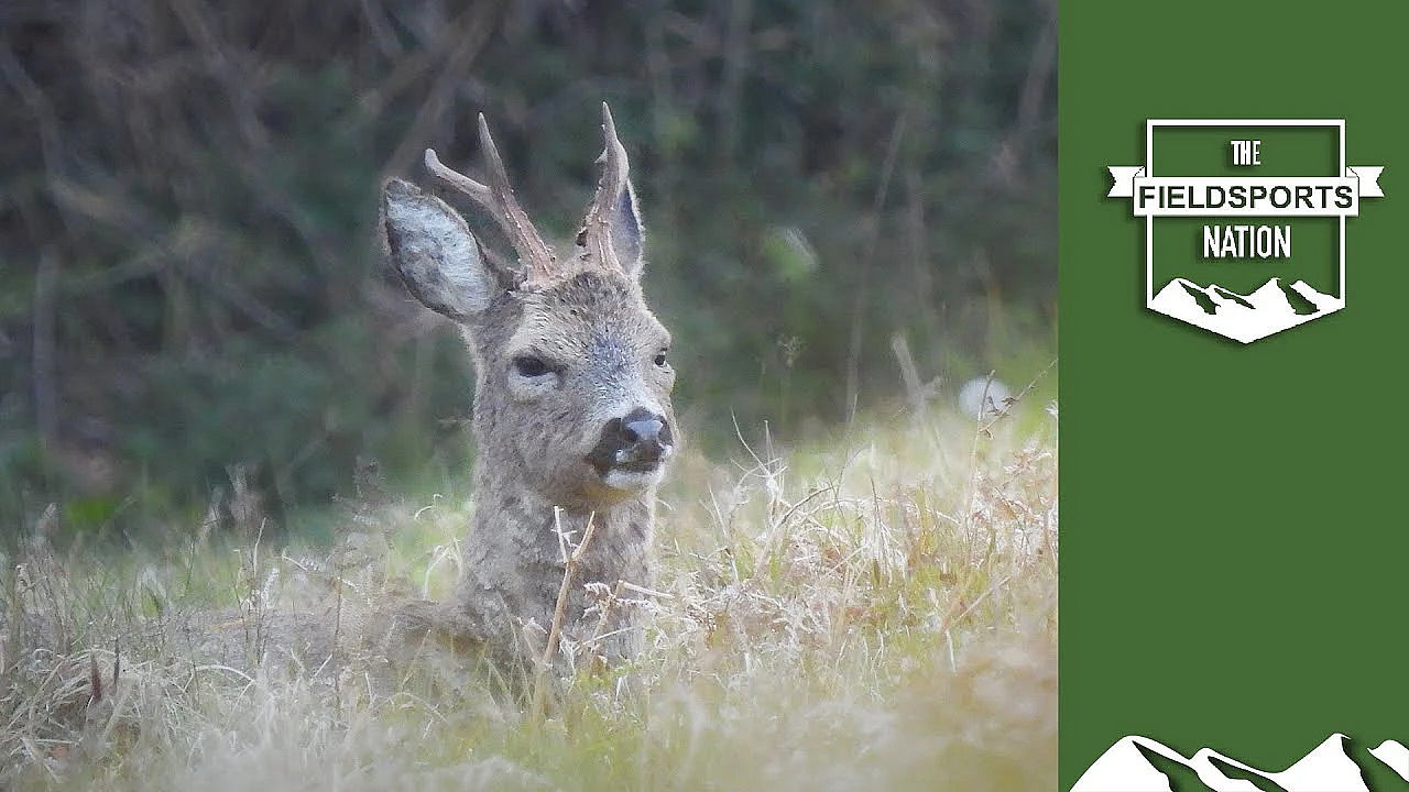 Roebuck Stalking Prize