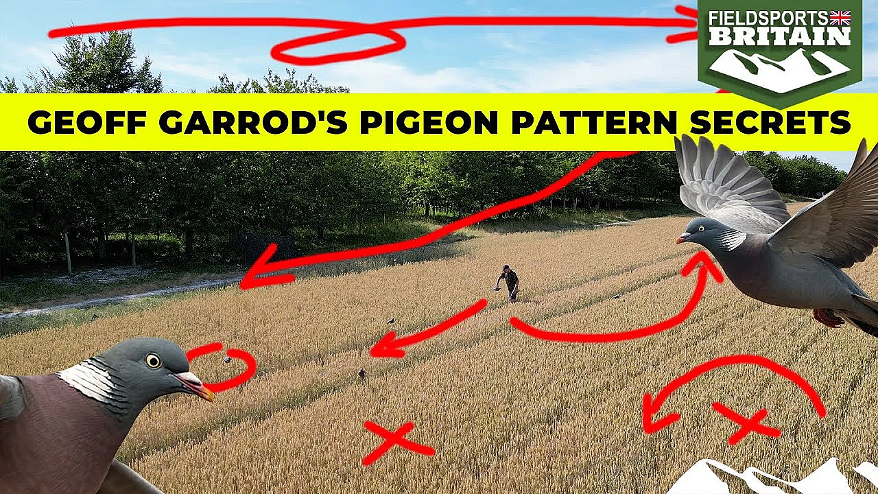 Geoff's Pigeon Pattern Secrets