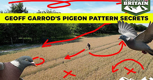 Geoff's Pigeon Pattern Secrets