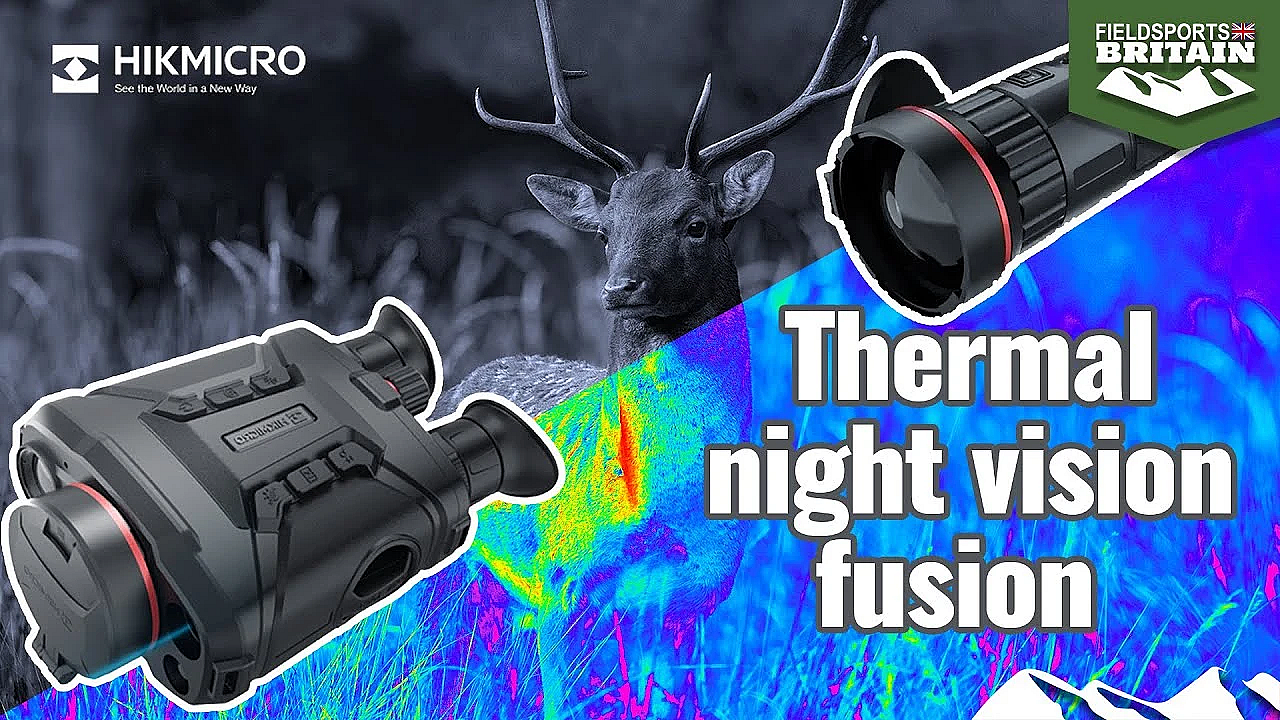 Next-level Thermal Night Vision Fusion On Deer