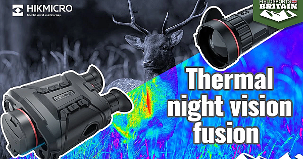 Next-level Thermal Night Vision Fusion On Deer