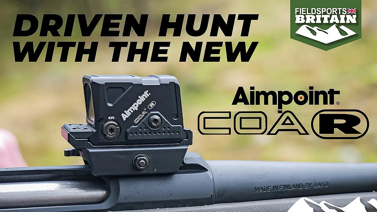Driven Boar Hunt With The New Aimpoint Coa-r