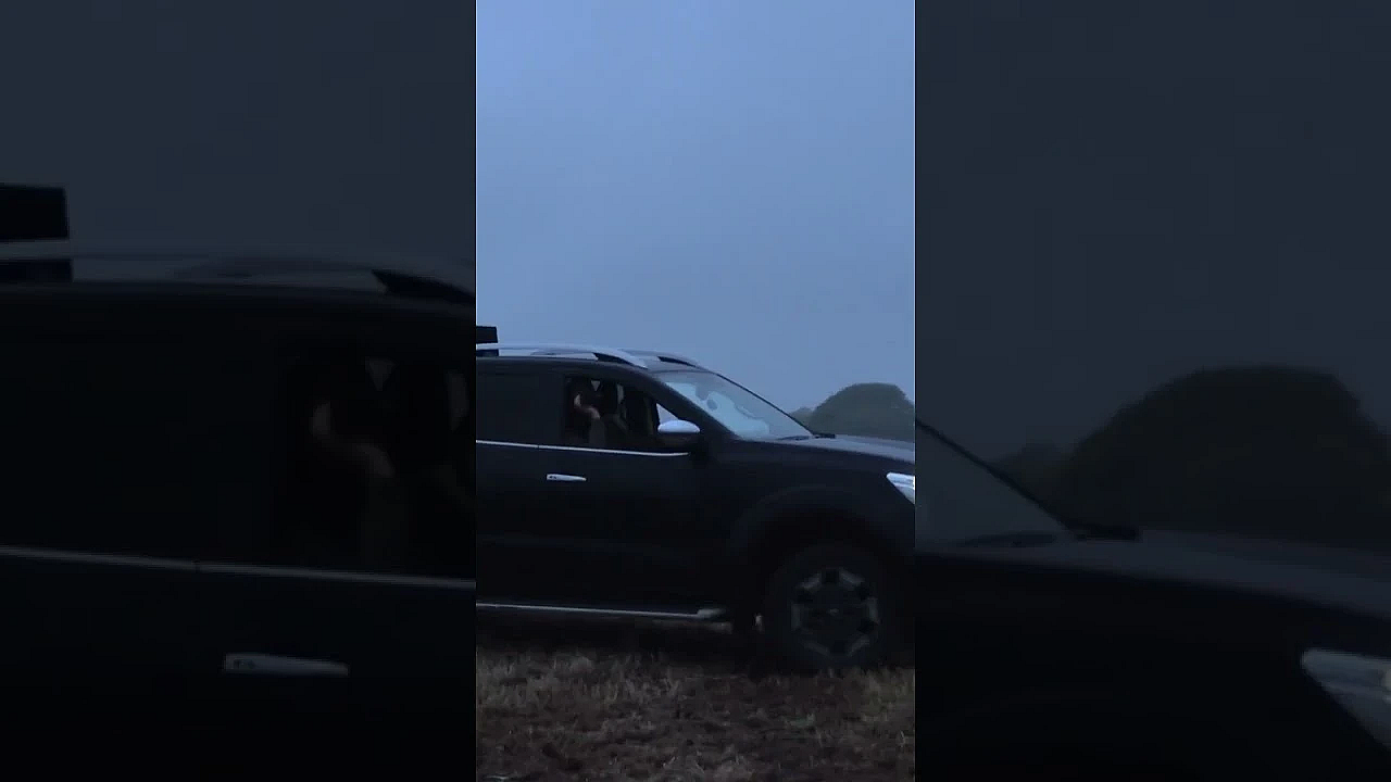 A A Busy Few Nights On The #foxes