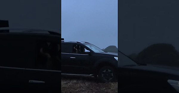 A A Busy Few Nights On The #foxes