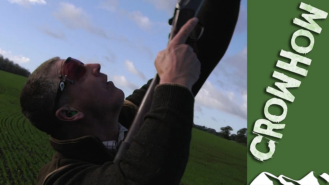 Crow Shoots Partridge In Bedfordshire