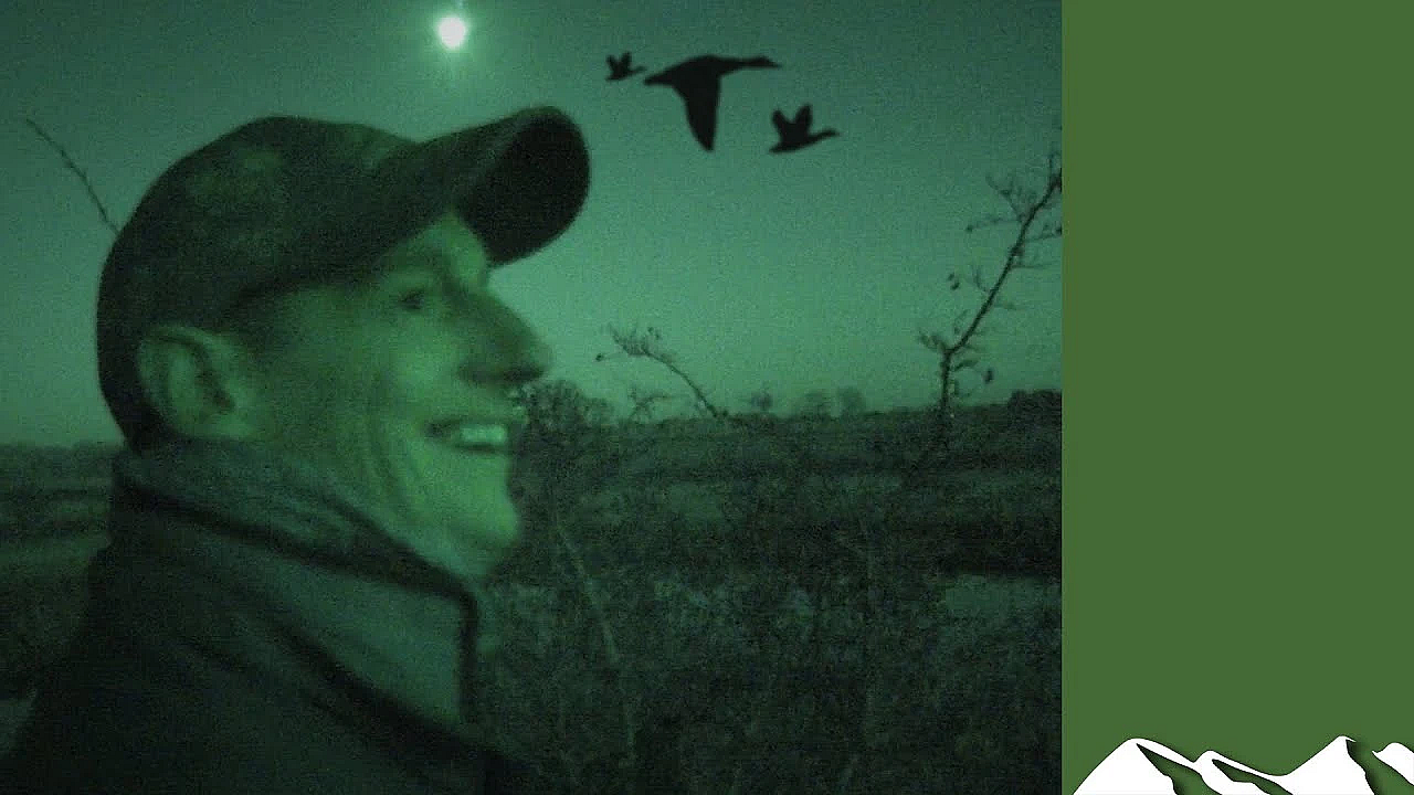 Fabulous Duck Flighting At Dusk